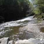 Looking downstream. If you are fishing for shoes I would recommend heavy sunk flies.