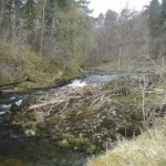 Upstream (same place).