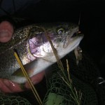 On the Streamer, notice the additional nymph!