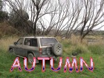 Autumn