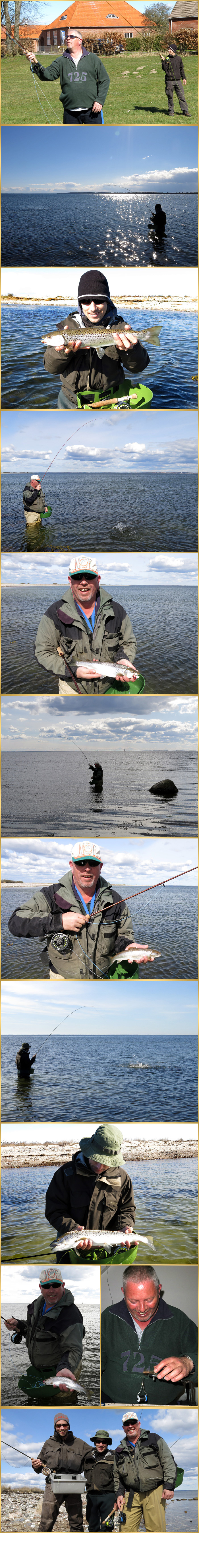 fly fishing for Sea trou