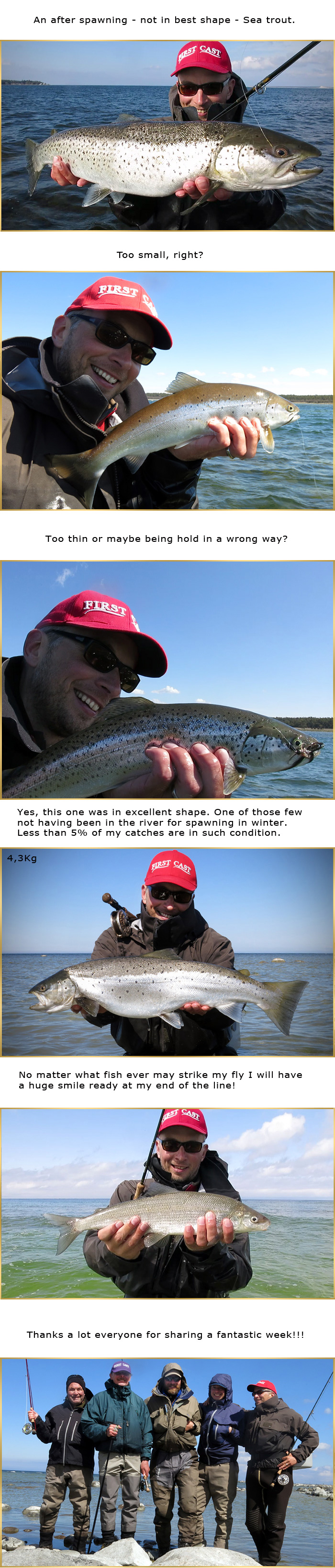 fly fishing seatrout