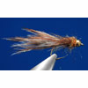 The Arden Damsel