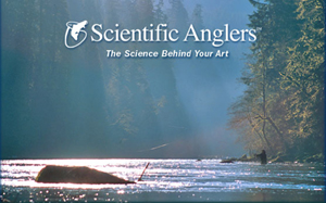 Scientific Anglers HeadStart