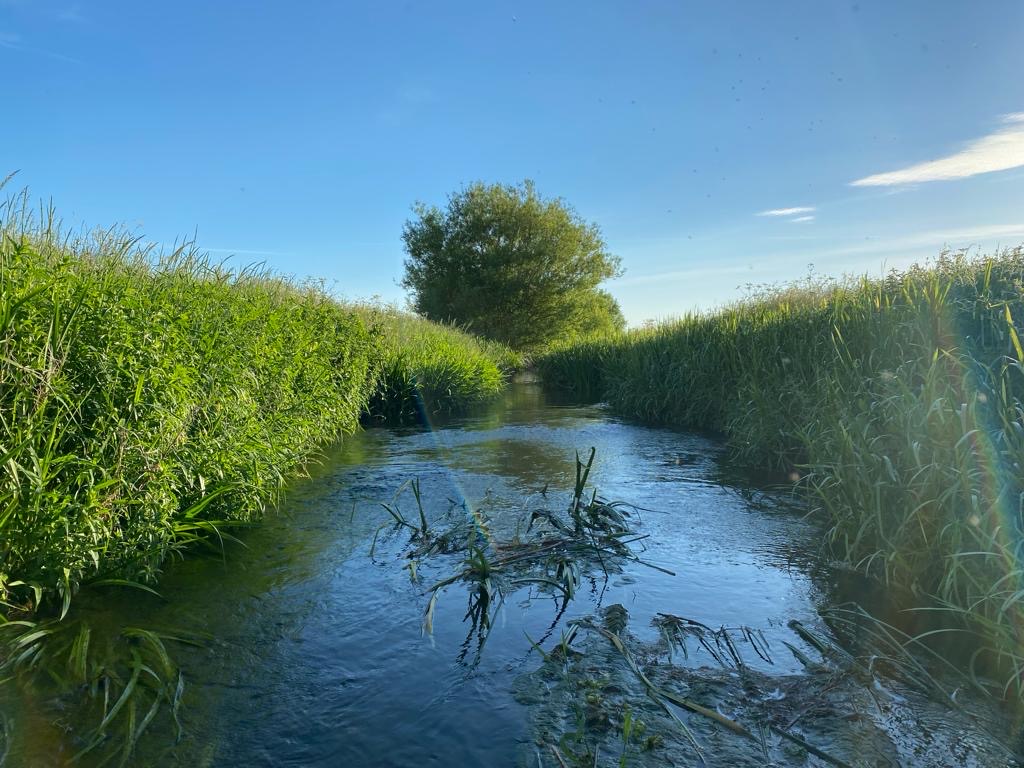 35ac60ec-fb56-47c9-8623-4bd9a4a9b1ba