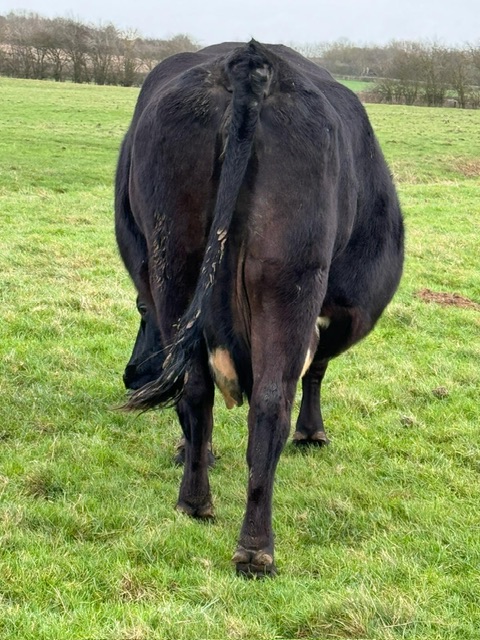 508740d9-4c87-45b2-9ddd-2929cd88bc1a