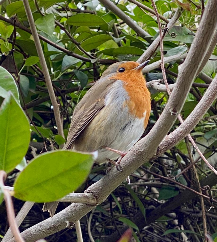 632894fa-2b6b-4c8f-95c6-7e3ab0bd5b6c