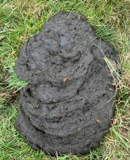 c785c04a-dc78-4f7d-a869-1f513eaf3fb7