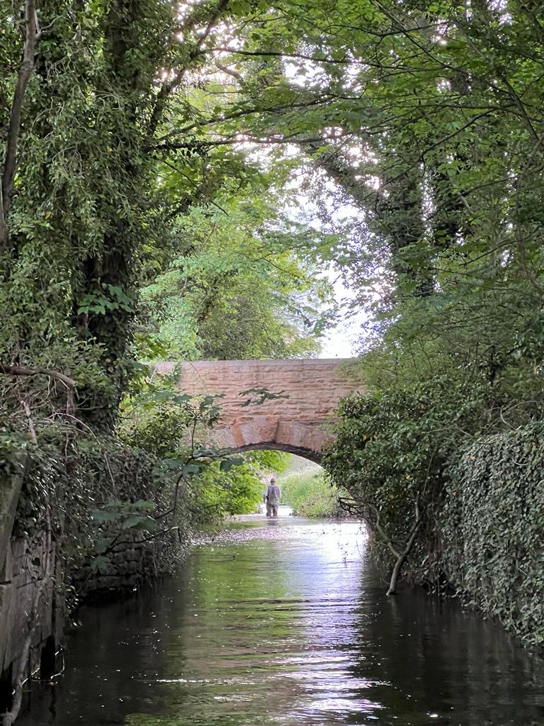 f38ad895-cac8-42e4-b535-5c6470f48353