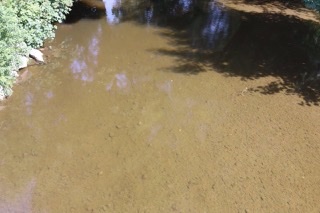 41BD3E99-AF00-493A-A106-2997C7DD87D6