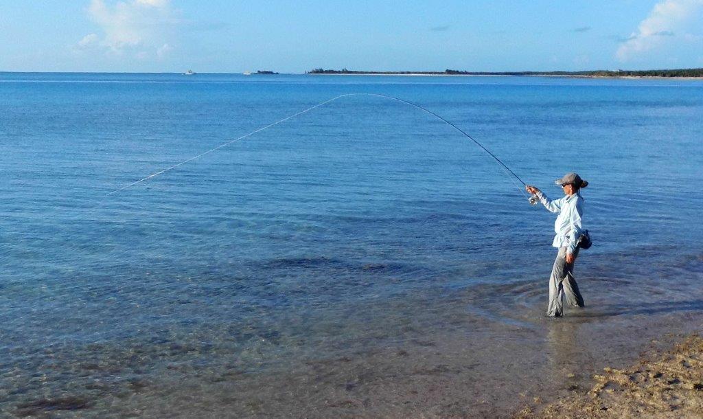 6D08A323-BE86-4E9B-A580-D03D70A03F77