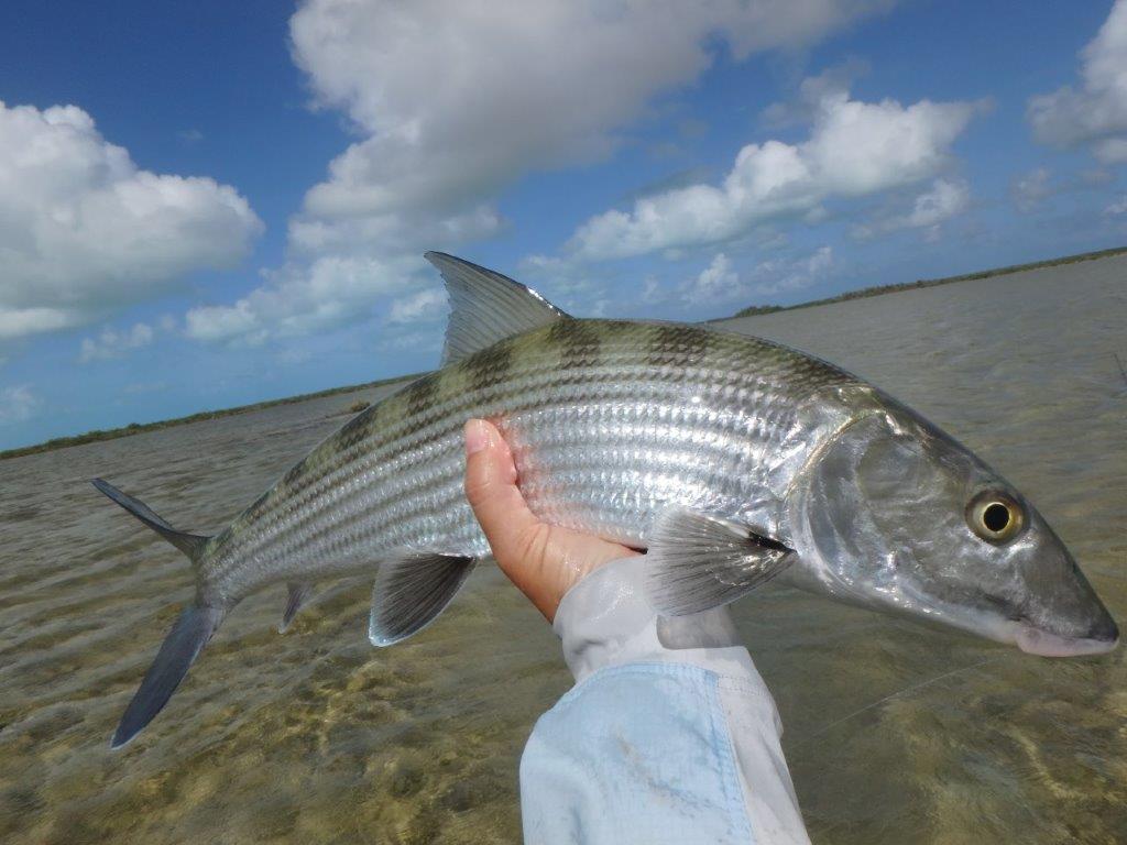 700988A8-F102-4618-9AC6-A806CB379393