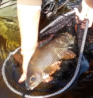 78AF5580-1742-4BC1-98DD-8E8854B8C789