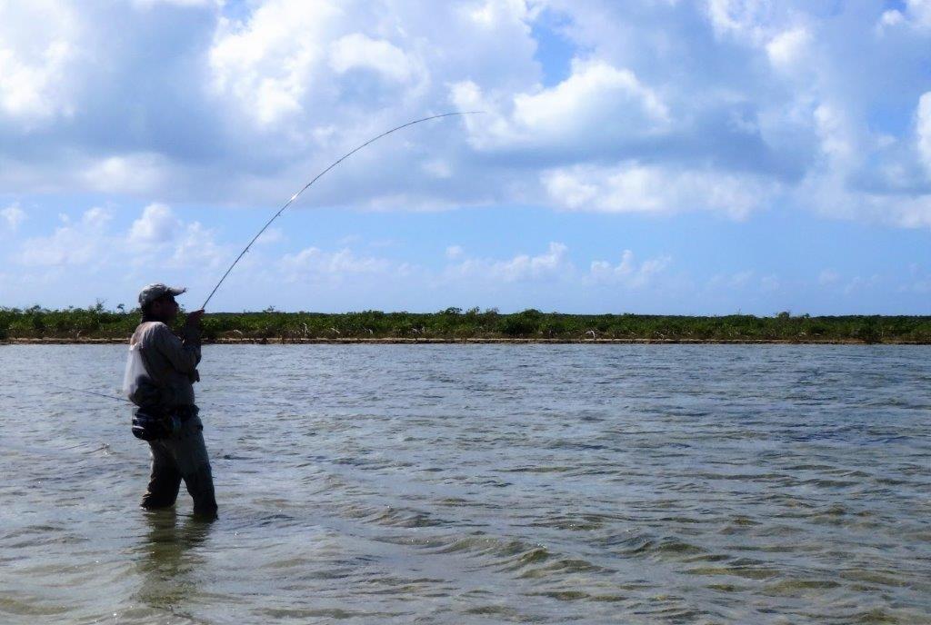 A917D1BF-356C-417B-9F62-BA14E675ADBA