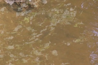 BF2B99CC-5618-485E-93BD-A2AA79585479