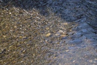 E213D997-9D56-41A6-8DCC-13CE3B12462B