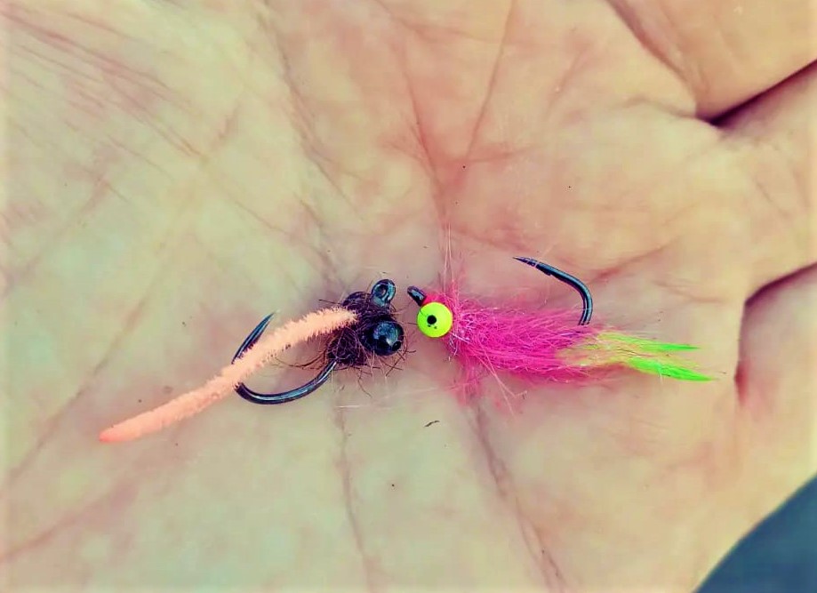 322366138_682612060175670_3476617281005934800_n