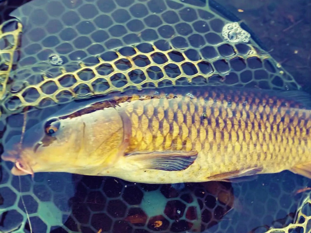 322675715_551638406578144_4862939478192945121_n