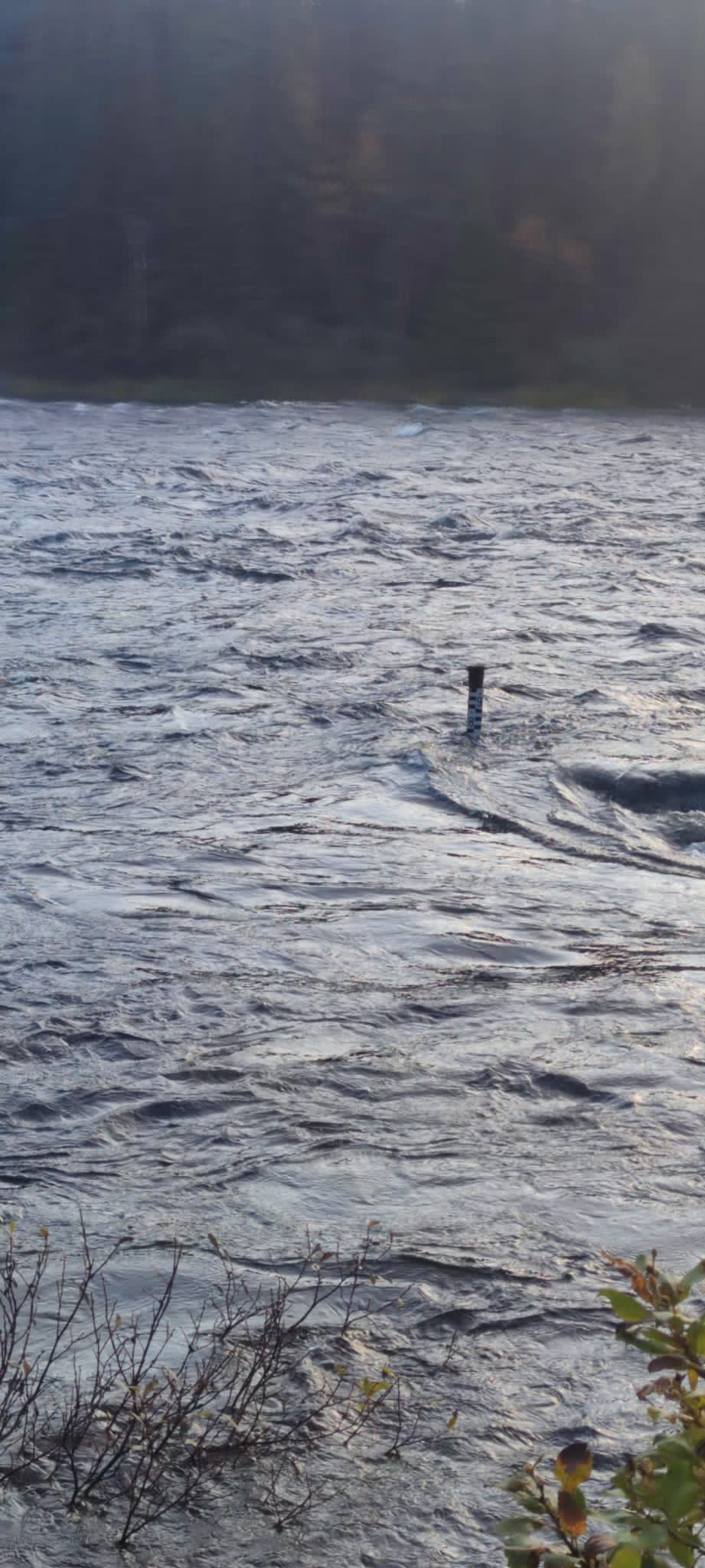 000ea1a3-42f7-48eb-a963-59412b08739f