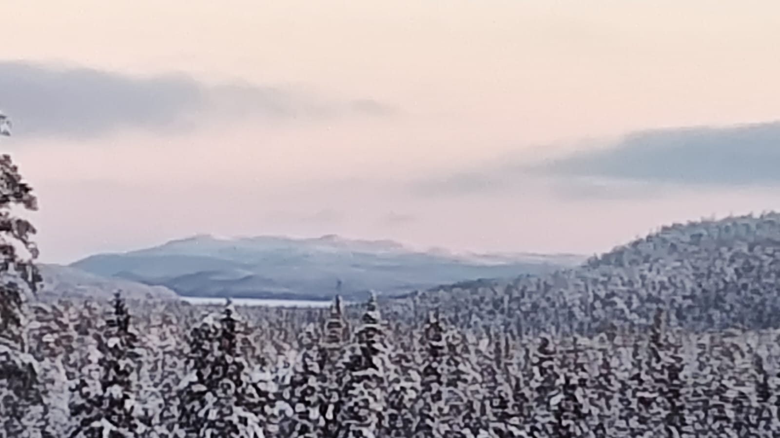 0a05bd6c-ea12-4eb0-9492-b973e802820b