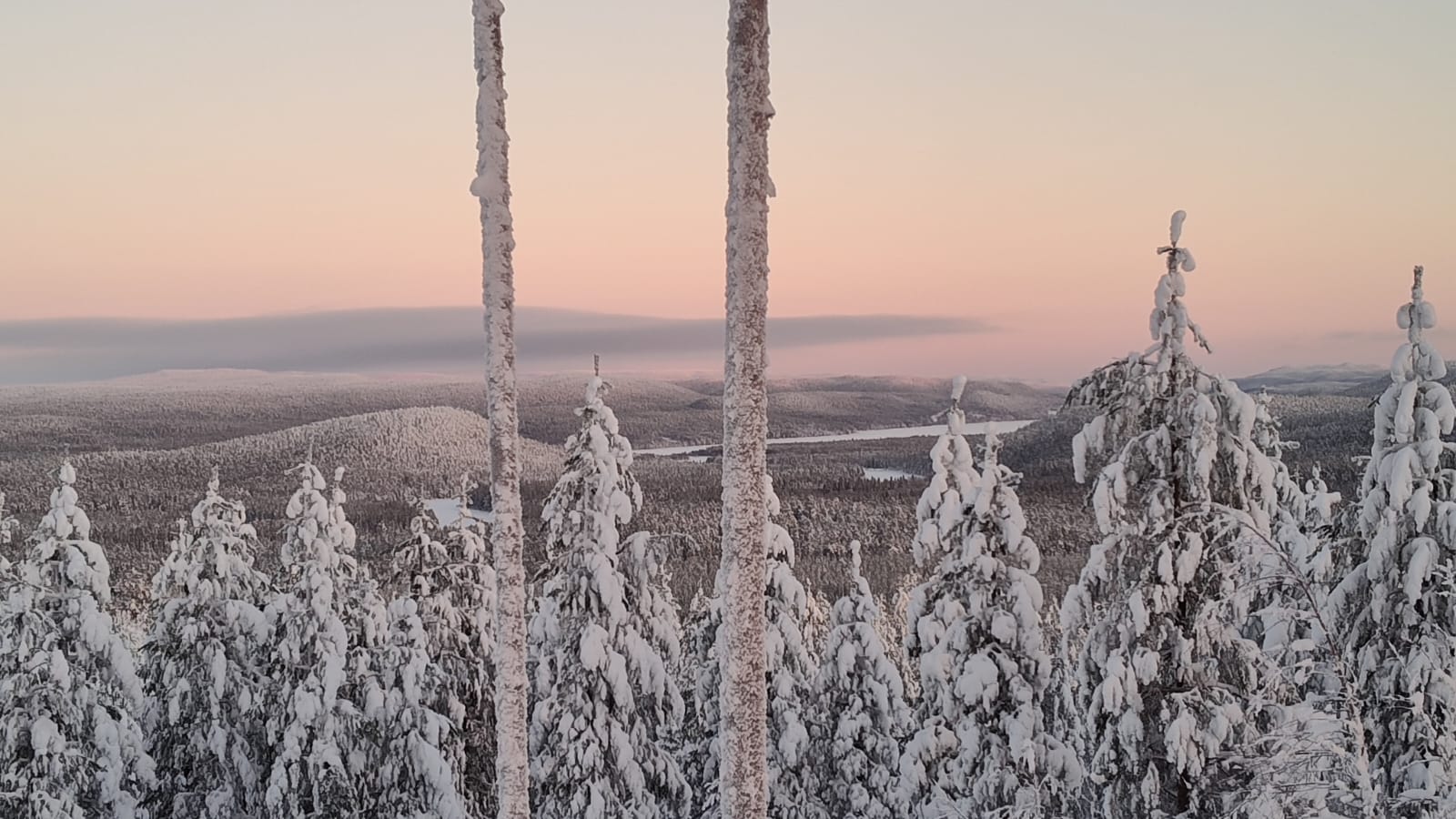 4d2dbeb0-7de2-444f-997f-00f8d271e3dc