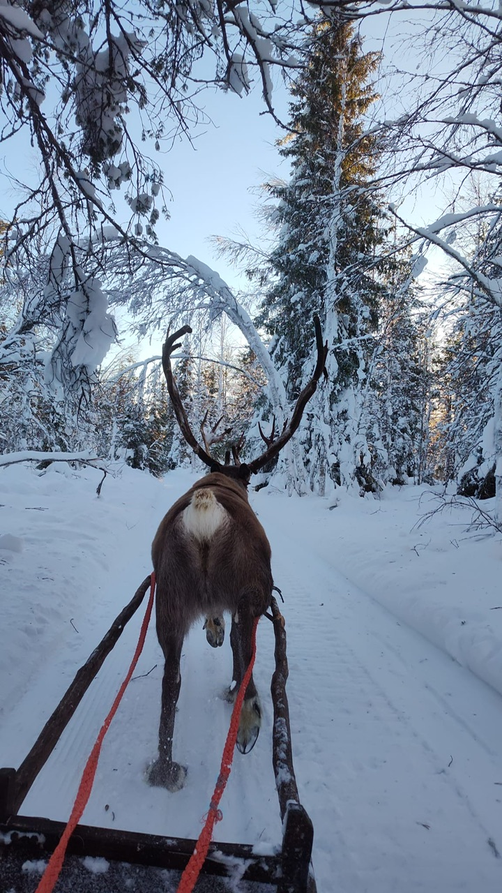 51e2c6b7-60cd-4851-bc0b-cc62fa552296