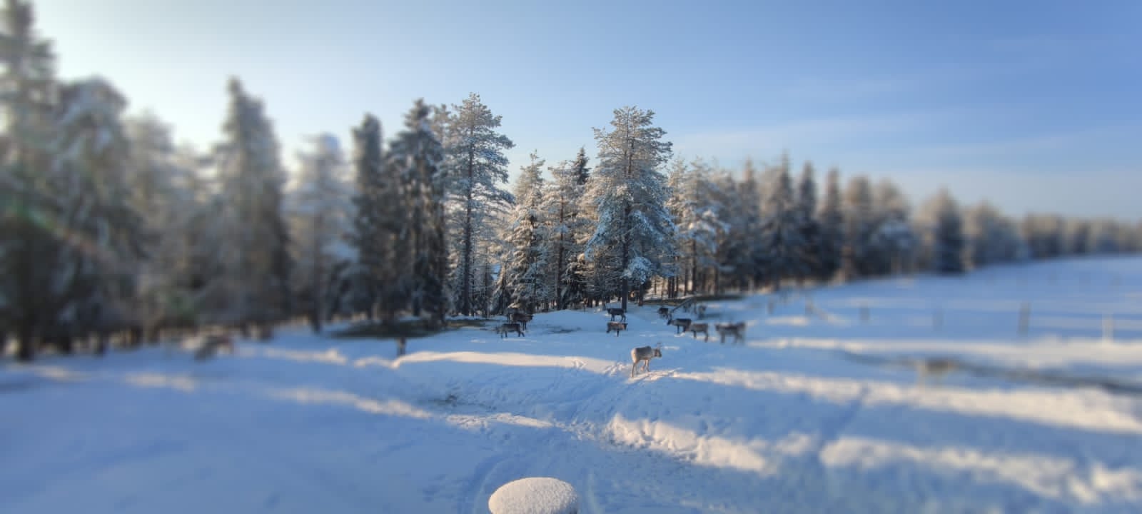 5905B9DC-5645-40C5-B032-B13DB8105DA6