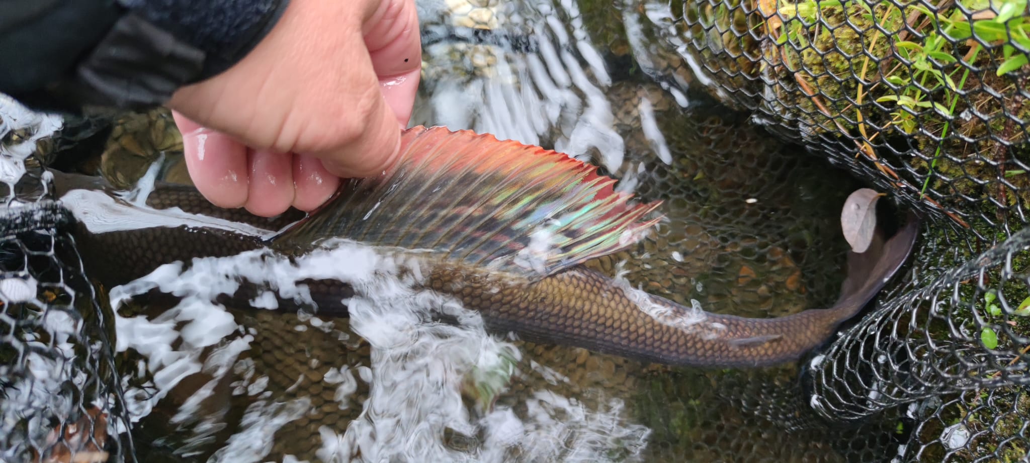 5ecc8497-ae28-4e83-8b86-95226c62c4d4