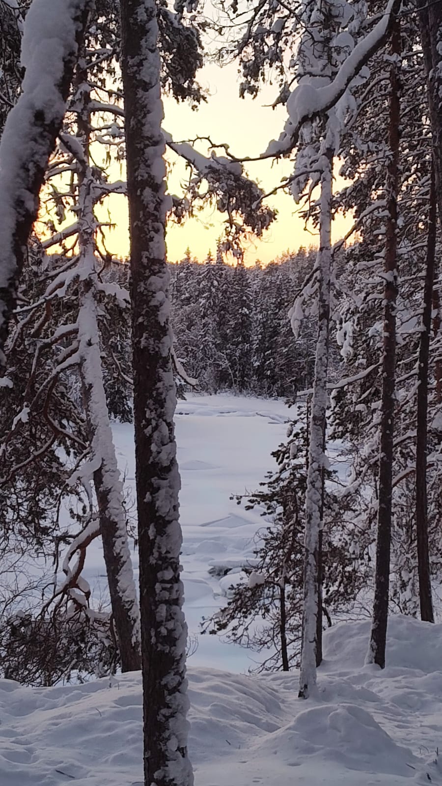 5ffabef5-8423-43b9-a1b1-84bf3429f30f