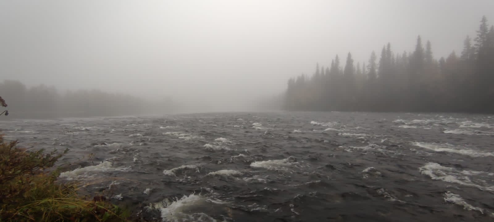 624adb17-c2a2-4451-b20c-fe69ddc44c44