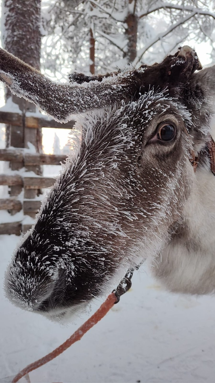 d26d0ab4-dcdf-4348-ad9a-782343c52383