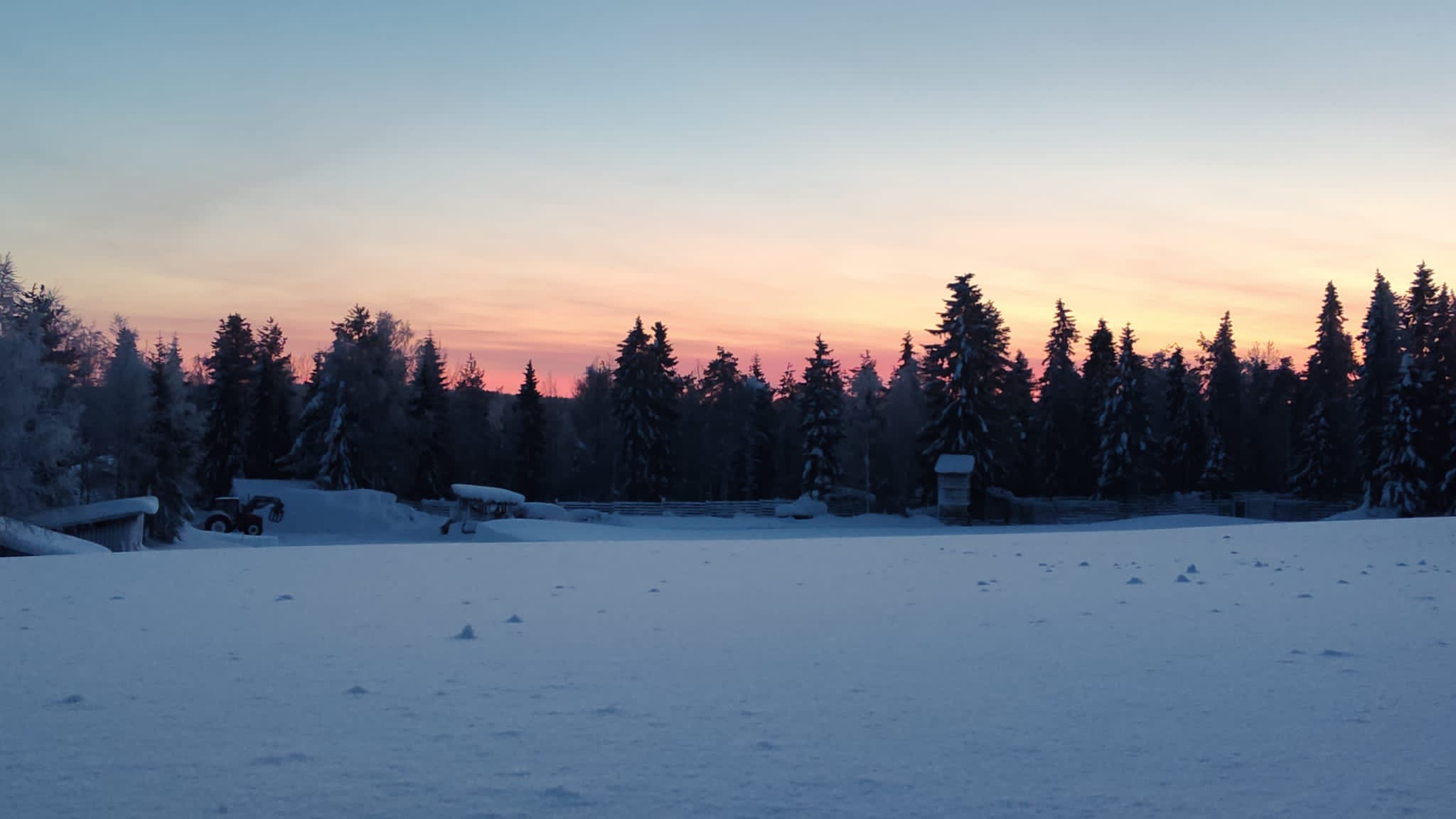 dd5e536d-3a33-4104-835b-f2de28dda626