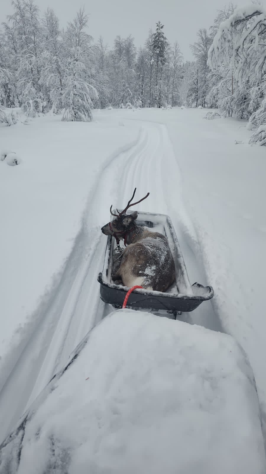 e5f97371-e25f-4d1c-b893-3a1578e75252