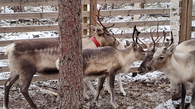 ece5944b-83f4-4f8a-8568-ce1ba0750ceb