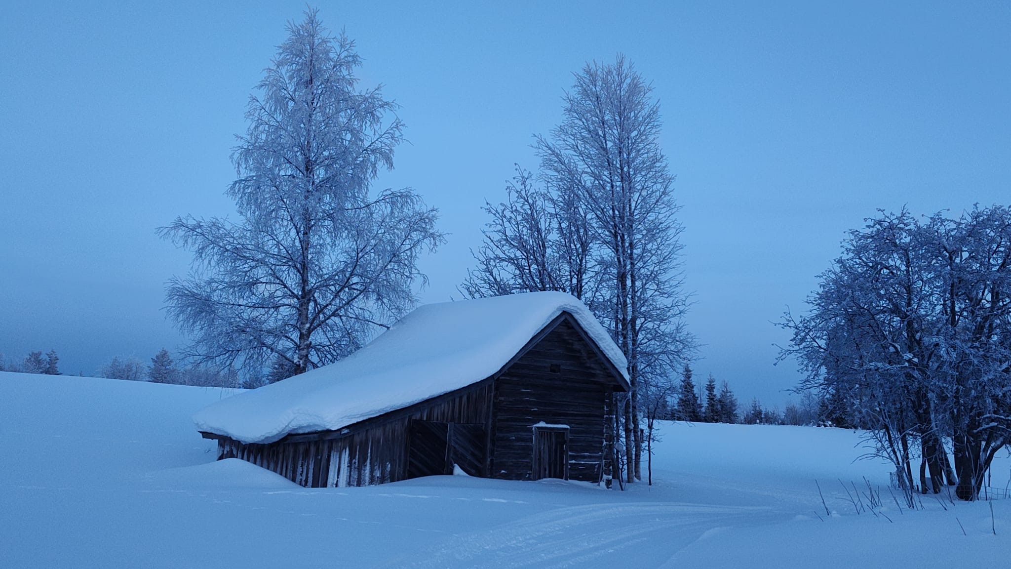 f33c8608-e5da-41cf-ae81-3ace7d204e73