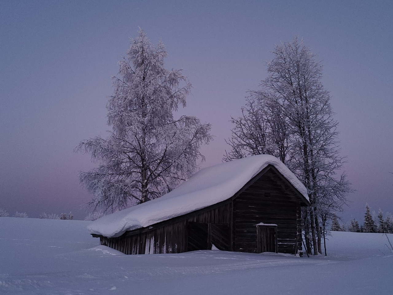 f81b4dd3-769a-465f-a034-f92ec39194c6