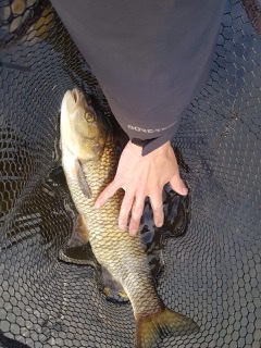 C794669D-7FF3-46EC-B424-0318D7B5A0A0