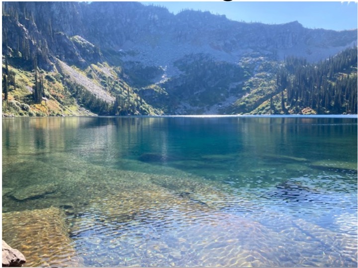 397CAC15-D36A-45BA-BA35-9830FB64BDE1