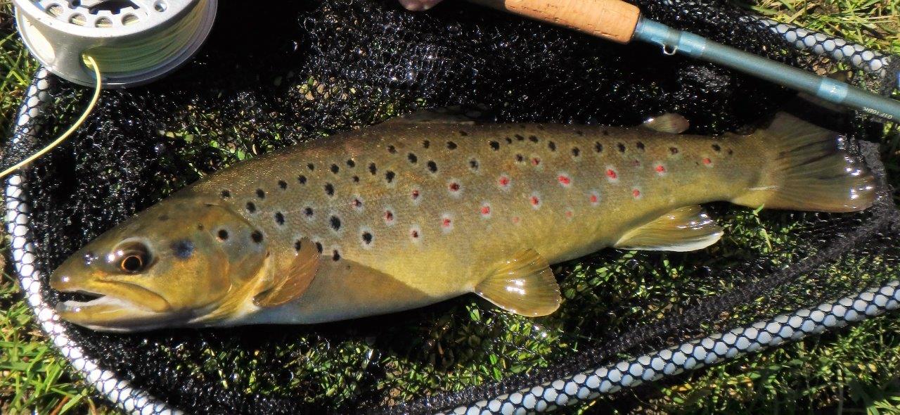 06A2846B-7FD4-4F71-A40E-3F27C3316789