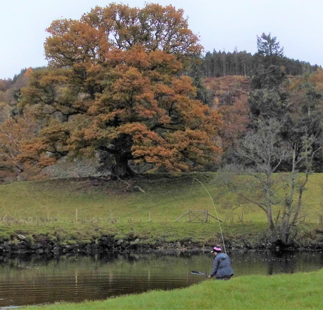 3A5084FE-6D6B-4368-B806-E34501DA4031