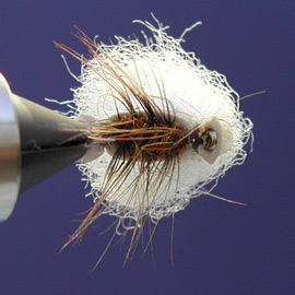 Buggy indicator fly, underneath