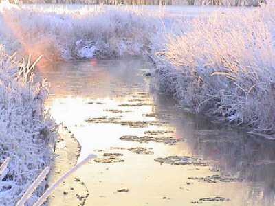 In january, many small rivers and streams in Denmark open for fishing again, and the way forward is the sinking line!