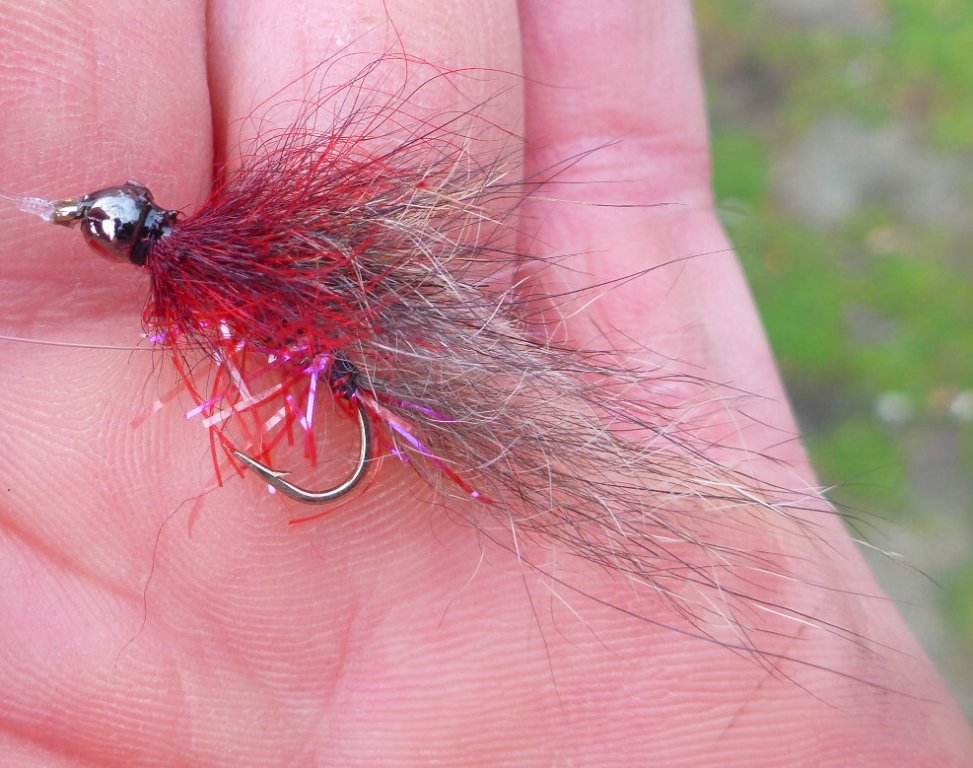 This fly did well late on day 2. My own invention, tied with possum.