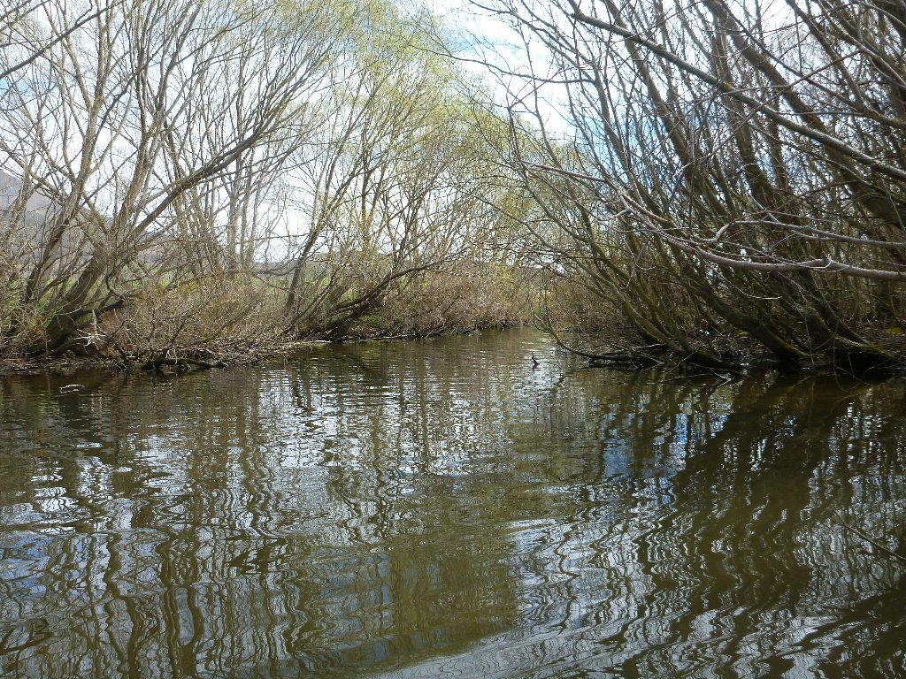 I had some excellent close range fishing in here..