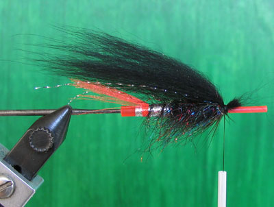 First wing