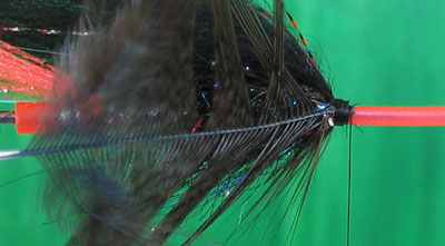 Tie in hackle, keep everything neat and tidy now