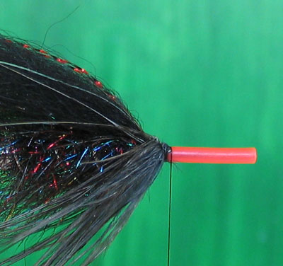 Wrap hackle and bring to the underside of tube with a single turn of thread