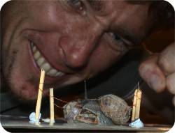 Oh my goodness! Freddy the Killer Snail puts Terrible Tim into a death lock. Victory is close!