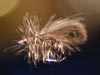 Oliver Edwards Bubble Wing Caddis