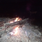 Campfire in Rainforest